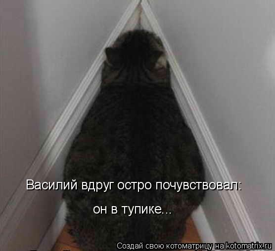 Василий вдруг остро почувствовал: он в тупике...... Котоматрица: Василий вдруг остро почувствовал: он в тупике...