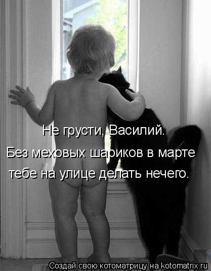 Не грусти, Василий. Без меховых шариков в марте тебе на улице делать нечего.... Котоматрица: Не грусти, Василий. Без меховых шариков в марте тебе на улице делать нечего.