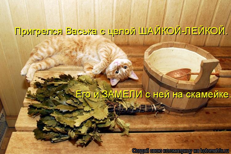 Пригрелся Васька с целой ШАЙКОЙ-ЛЕЙКОЙ. Его и ЗАМЕЛИ с ней на скамейке.... Котоматрица: Пригрелся Васька с целой ШАЙКОЙ-ЛЕЙКОЙ. Его и ЗАМЕЛИ с ней на скамейке.