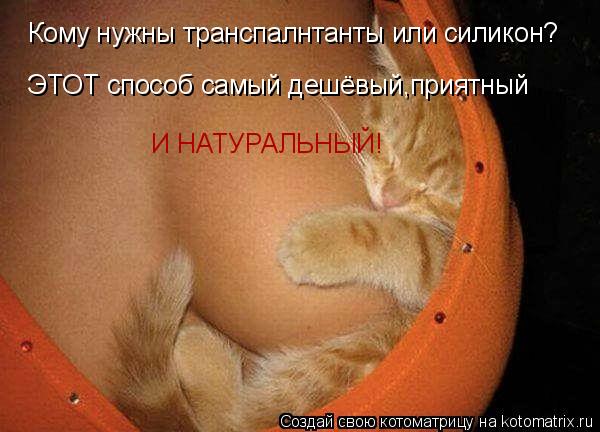 Нужен трейдер