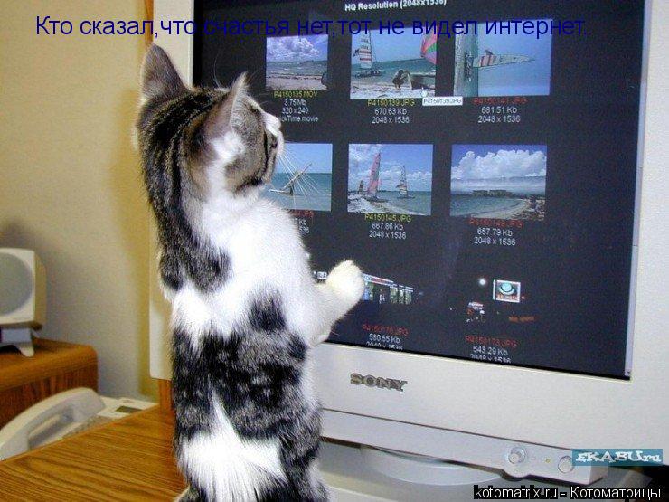 Кто сказал,что счастья нет,тот не видел интернет.... Котоматрица: Кто сказал,что счастья нет,тот не видел интернет.