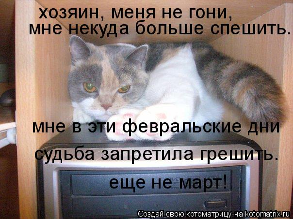 хозяин, меня не гони, мне некуда больше спешить. мне в эти февральские дни судьба запретила грешить.... Котоматрица: хозяин, меня не гони, мне некуда больше спешить. мне в эти февральские дни судьба запретила грешить. еще не март!