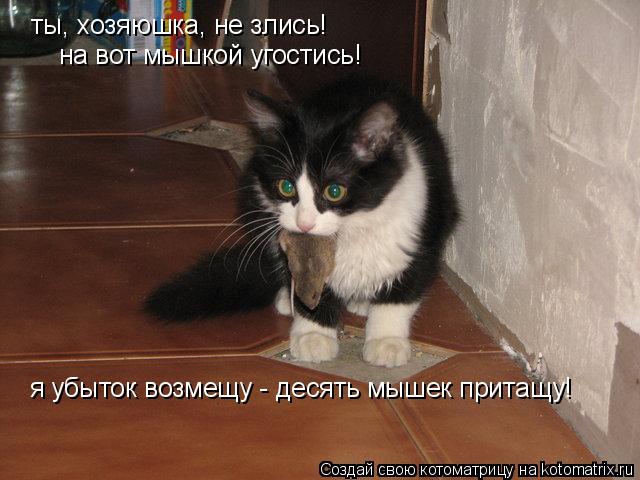 Котоматрица: ты, хозяюшка, не злись! ты, хозяюшка, не злись! на вот мышкой угостись! я убыток возмещу - десять мышек притащу!