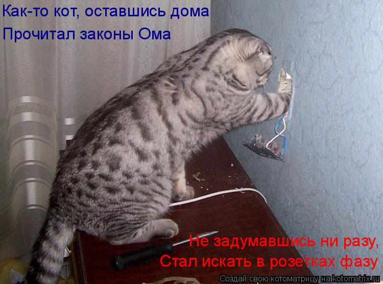 Как-то кот, оставшись дома Прочитал законы Ома Не задумавшись ни разу, Стал искать в розетках фазу... Котоматрица: Как-то кот, оставшись дома Прочитал законы Ома Не задумавшись ни разу, Стал искать в розетках фазу