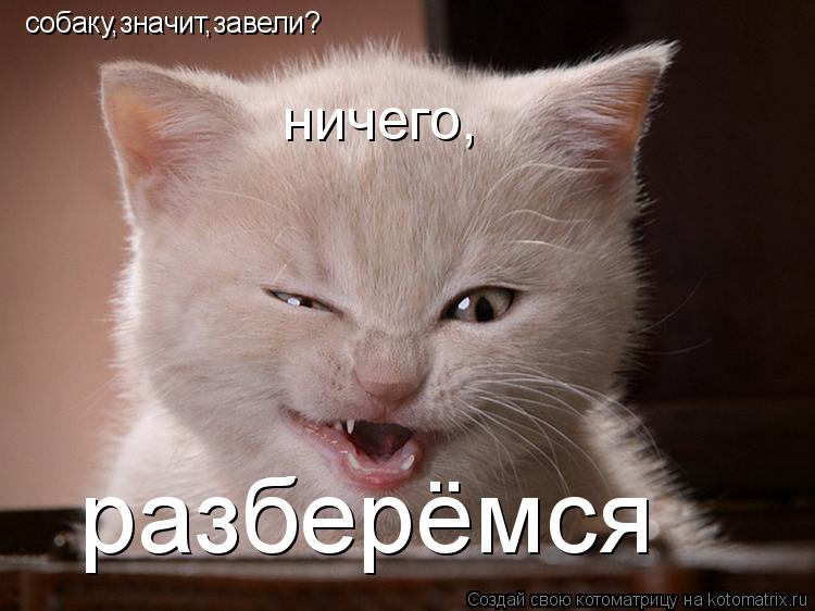 собаку,значит,завели? ничего, разберёмся... Котоматрица: собаку,значит,завели? ничего, разберёмся