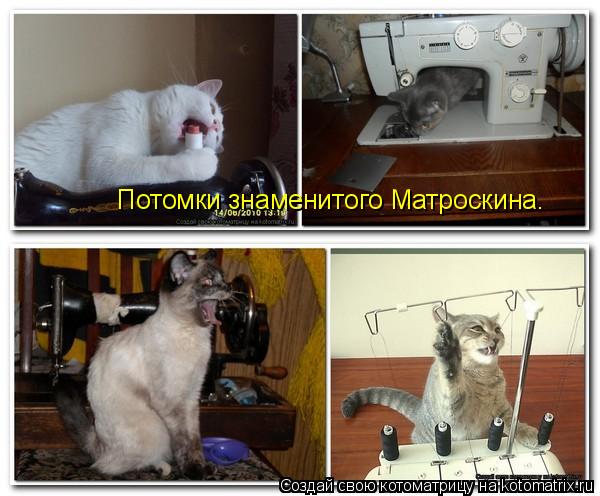 Потомки знаменитого Матроскина.... Котоматрица: Потомки знаменитого Матроскина.