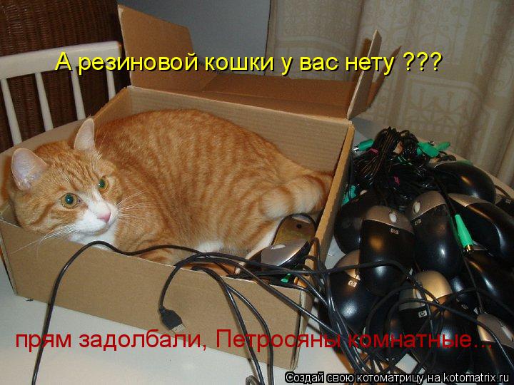 А резиновой кошки у вас нету ??? прям задолбали, Петросяны комнатные...... Котоматрица: А резиновой кошки у вас нету ??? прям задолбали, Петросяны комнатные...