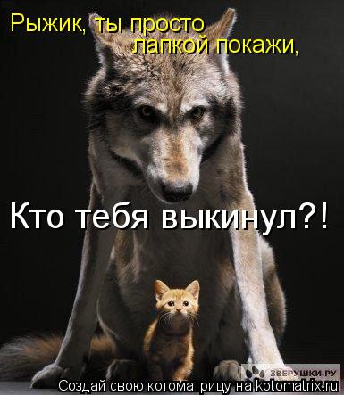 Котоматрица: Рыжик, ты просто лапкой покажи, Кто тебя выкинул?!