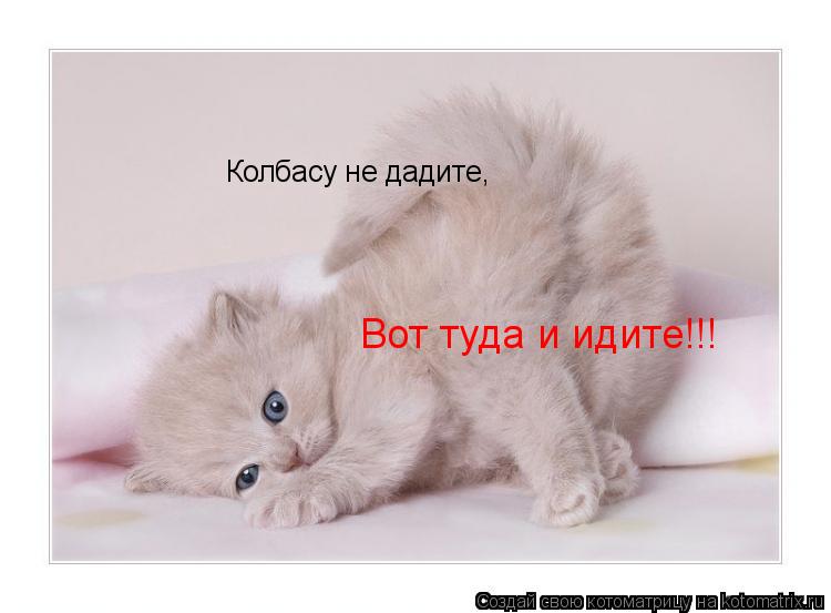 Котоматрица: Колбасу не дадите, Вот туда и идите!!!