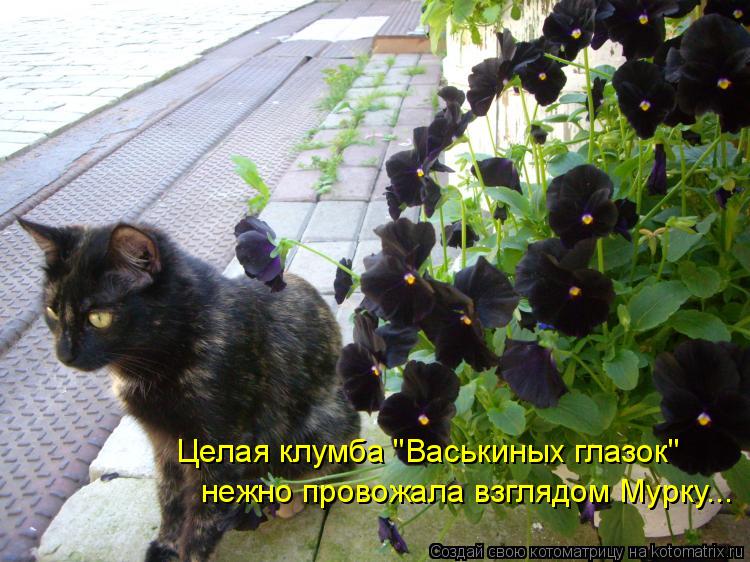 Нажмите на изображение, чтобы открыть его в исходном размере.