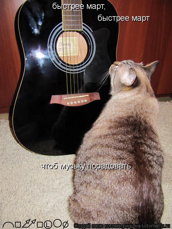 быстрее март, быстрее март чтоб муську порадовать... Котоматрица: быстрее март, быстрее март чтоб муську порадовать