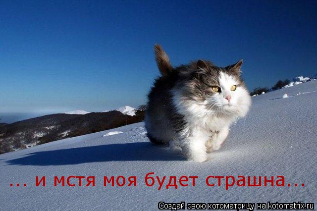 ... и мстя моя будет страшна...... Котоматрица: ... и мстя моя будет страшна...