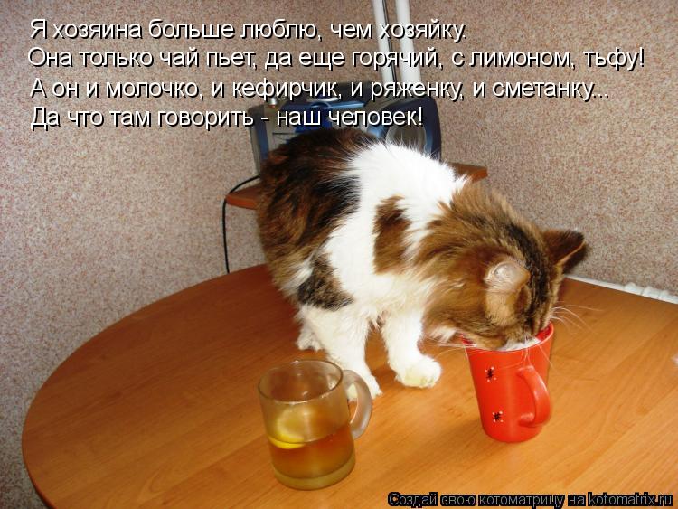 Я хозяина больше люблю, чем хозяйку. А он и молочко, и кефирчик, и ряженку, и сметанку... Она только ... Котоматрица: Я хозяина больше люблю, чем хозяйку. А он и молочко, и кефирчик, и ряженку, и сметанку... Она только чай пьет, да еще горячий, с лимоном, тьфу! Да