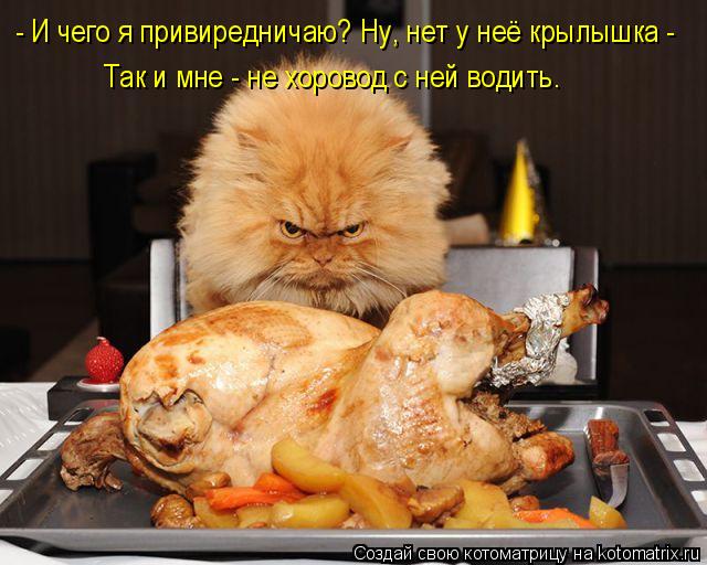 - И чего я привиредничаю? Ну, нет у неё крылышка - Так и мне - не хоровод с ней водить.... Котоматрица: - И чего я привиредничаю? Ну, нет у неё крылышка - Так и мне - не хоровод с ней водить.