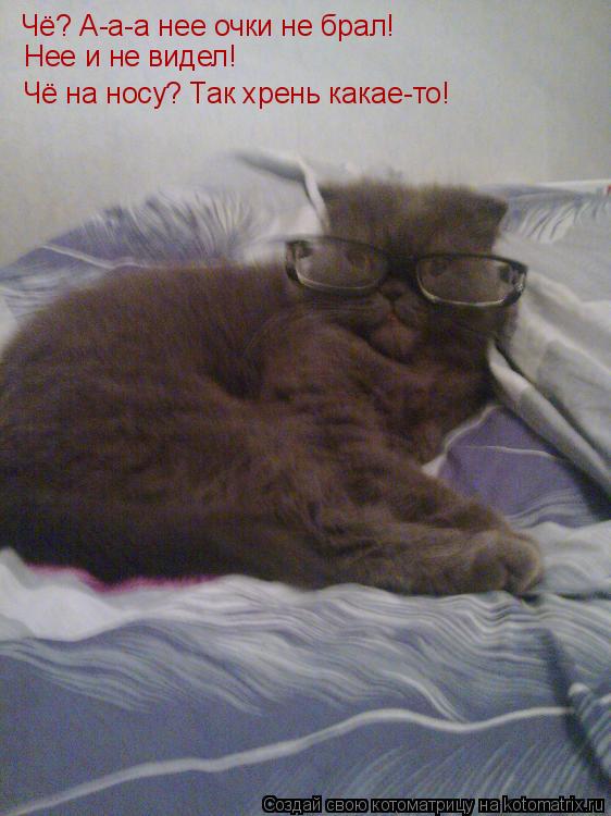 Котоматрица: Чё? А-а-а нее очки не брал!  Нее и не видел! Чё на носу? Так хрень какае-то!
