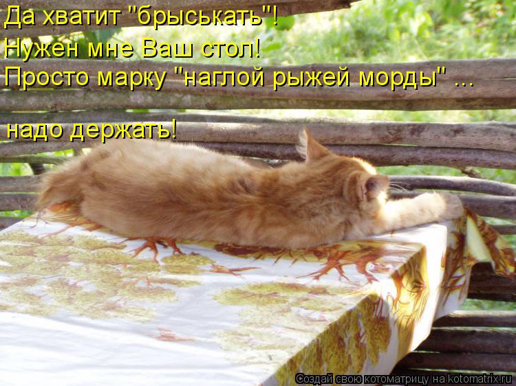 Да хватит "брыськать"! Нужен мне Ваш стол! Просто марку "наглой рыжей морды" ... надо держать!... Котоматрица: Да хватит "брыськать"! Нужен мне Ваш стол! Просто марку "наглой рыжей морды" ... надо держать!