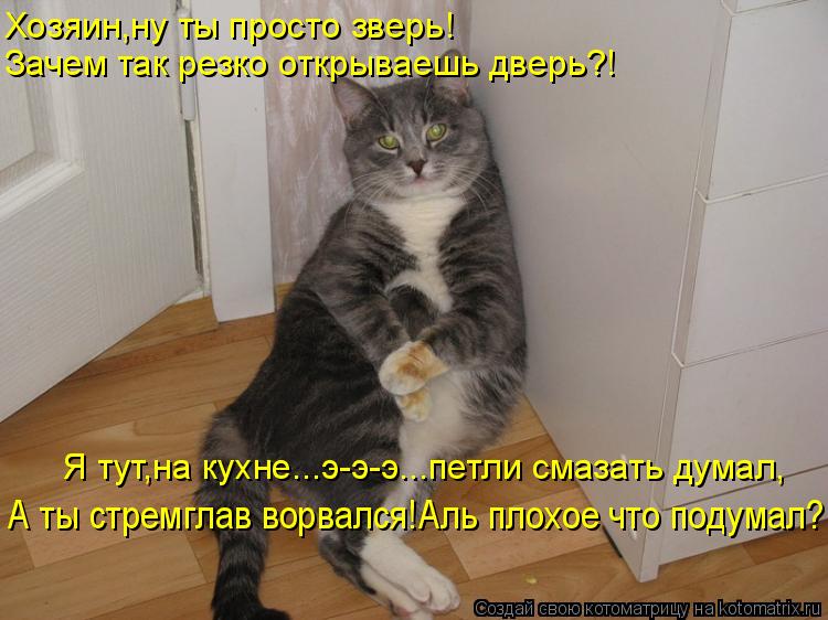 Котоматрица: Хозяин,ну ты просто зверь! Зачем так резко открываешь дверь?! А ты стремглав ворвался!Аль плохое что подумал? Я тут,на кухне...э-э-э...петли сма