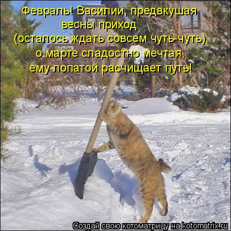 Февраль! Василий, предвкушая весны приход (осталось ждать совсем чуть-чуть), о марте сладостно мечтая... Котоматрица: Февраль! Василий, предвкушая весны приход (осталось ждать совсем чуть-чуть), о марте сладостно мечтая, ему лопатой расчищает путь!