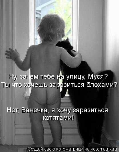 Котоматрица: Ну, зачем тебе на улицу, Муся? Ты что хочешь заразиться блохами? Нет, Ванечка, я хочу заразиться котятами!