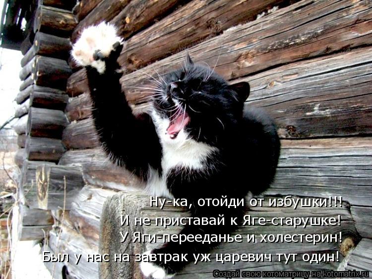Ну-ка, отойди от избушки!!! И не приставай к Яге-старушке! Был у нас на завтрак уж царевич тут один! ... Котоматрица: Ну-ка, отойди от избушки!!! И не приставай к Яге-старушке! Был у нас на завтрак уж царевич тут один! У Яги-перееданье и холестерин!