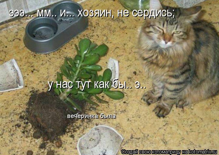 эээ... мм.. и... хозяин, не сердись; у нас тут как бы.. э.. вечеринка была... Котоматрица: эээ... мм.. и... хозяин, не сердись; у нас тут как бы.. э.. вечеринка была