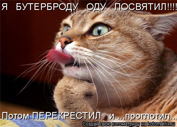 Я БУТЕРБРОДУ ОДУ ПОСВЯТИЛ!!!! Потом ПЕРЕКРЕСТИЛ и ...проглотил.......... Котоматрица: Я БУТЕРБРОДУ ОДУ ПОСВЯТИЛ!!!! Потом ПЕРЕКРЕСТИЛ и ...проглотил.......