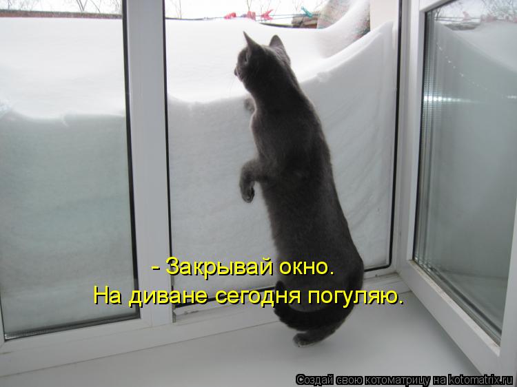 - Закрывай окно. На диване сегодня погуляю.... Котоматрица: - Закрывай окно. На диване сегодня погуляю.