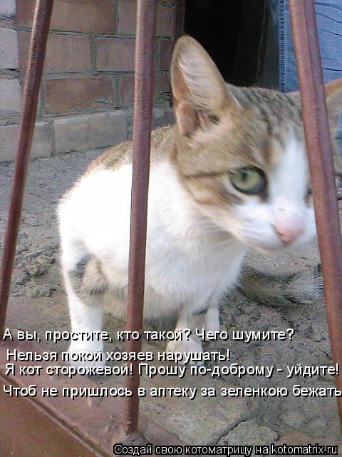 Котоматрица: Я кот сторожевой! Прошу по-доброму - уйдите! Чтоб не пришлось в аптеку за зеленкою бежать! А вы, простите, кто такой? Чего шумите? Нельзя покой 