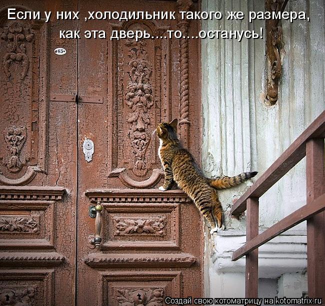 как эта дверь....то....останусь! Если у них ,холодильник такого же размера,... Котоматрица: как эта дверь....то....останусь! Если у них ,холодильник такого же размера,