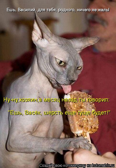 Котоматрица: Ешь, Василий, для тебя, родного, ничего не жаль! "Ешь, Васёк, шерсть еще гуще будет!" Ну-ну,хозяин,а месяц назад ты говорил: