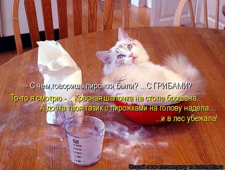 Котоматрица: - С чем,говоришь,пирожки были? ...С ГРИБАМИ? То-то я смотрю -....Красная шапочка на столе брошена, А дочка твоя тазик с пирожками на голову надела