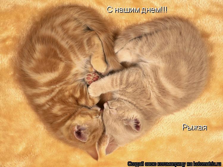 С нашим днем!!! Рыжая... Котоматрица: С нашим днем!!! Рыжая