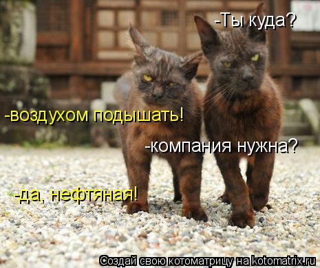 -воздухом подышать! -Ты куда? -компания нужна? -да, нефтяная!... Котоматрица: -воздухом подышать! -Ты куда? -компания нужна? -да, нефтяная!