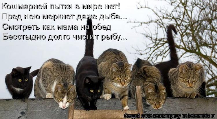 Кошмарней пытки в мире нет! Пред нею меркнет даже дыба... Смотреть как мама на обед Бесстыдно долго ч... Котоматрица: Кошмарней пытки в мире нет! Пред нею меркнет даже дыба... Смотреть как мама на обед Бесстыдно долго чистит рыбу...