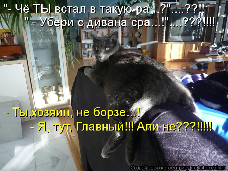 Котоматрица: " - Убери с дивана сра...!"....???!!!!  "- Чё ТЫ встал в такую ра...?"....??!!  - Ты,хозяин, не борзе...!  - Я, тут, Главный!!! Али не???!!!!!