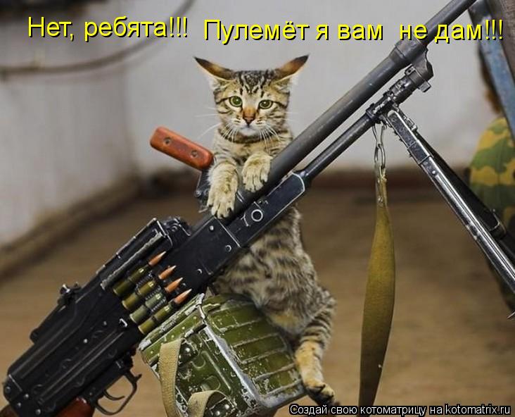 Котоматрица: Нет, ребята!!! Пулемёт я вам  не дам!!!