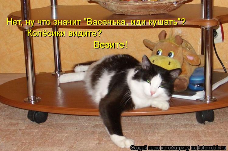 Нет, ну что значит "Васенька, иди кушать"? Колёсики видите? Везите!... Котоматрица: Нет, ну что значит "Васенька, иди кушать"? Колёсики видите? Везите!