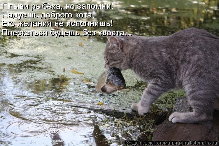 Котоматрица: Плыви рыбёха, но запомни! Надуешь доброго кота, Его желания не исполнишь! Плескаться будешь без хвоста...