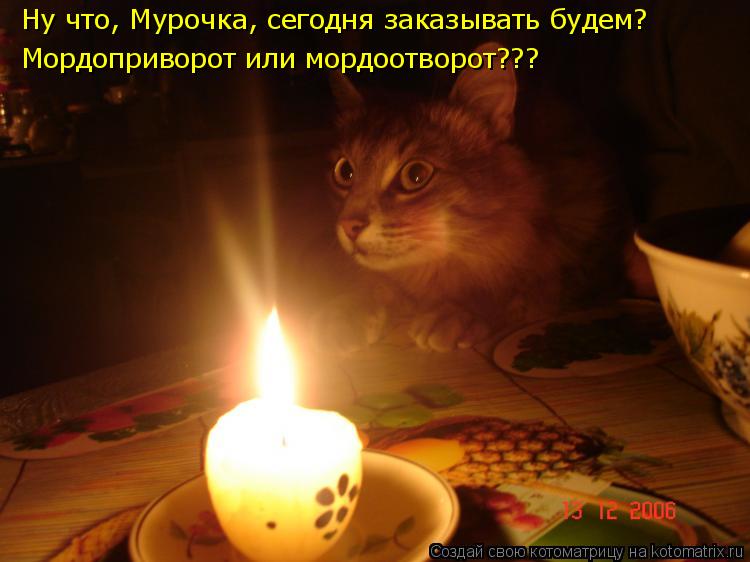 Котоматрица: Ну что, Мурочка, сегодня заказывать будем? Мордоприворот или мордоотворот???