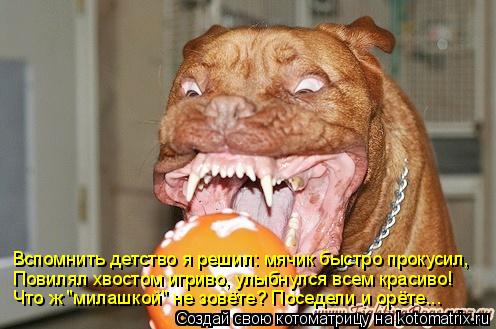 Котоматрица: Вспомнить детство я решил: мячик быстро прокусил, Повилял хвостом игриво, улыбнулся всем красиво! Что ж "милашкой" не зовёте? Поседели и орёт