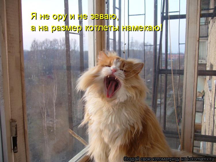 Котоматрица: а на размер котлеты намекаю! Я не ору и не зеваю,