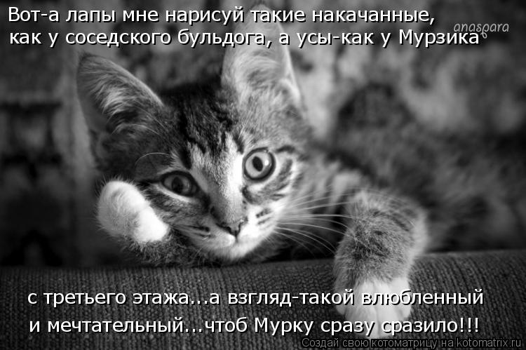 Котоматрица: Вот-а лапы мне нарисуй такие накачанные, как у соседского бульдога, а усы-как у Мурзика  и мечтательный...чтоб Мурку сразу сразило!!! с третьег