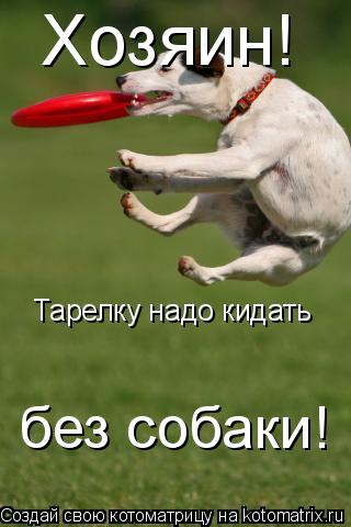 Хозяин! Тарелку надо кидать без собаки!... Котоматрица: Хозяин! Тарелку надо кидать без собаки!
