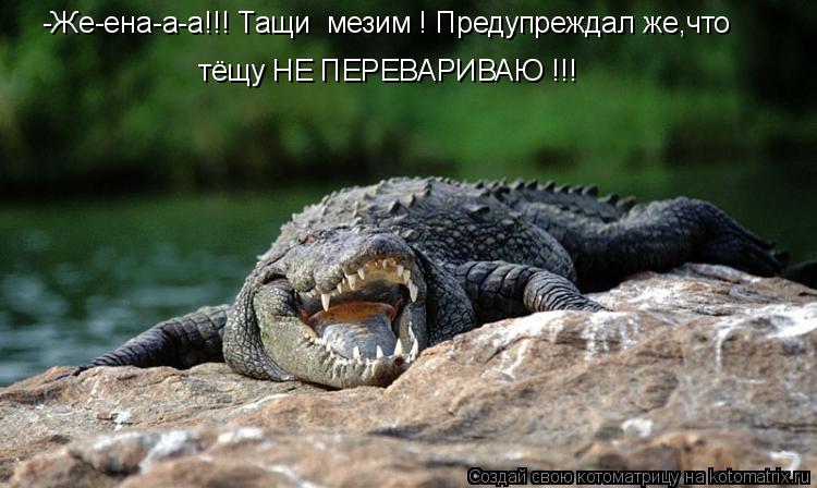 Посмеялся сам - поделись с другом!!!