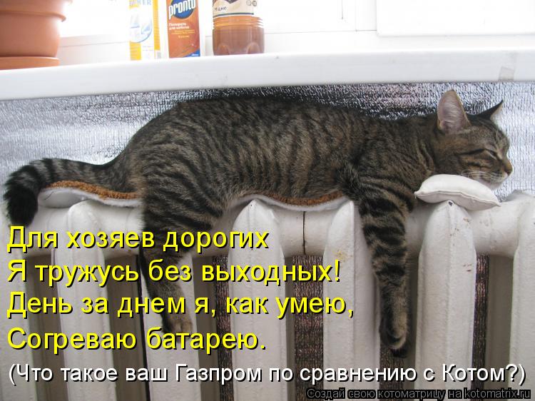 Котоматрица: Для хозяев дорогих Я тружусь без выходных! День за днем я, как умею, Согреваю батарею. (Что такое ваш Газпром по сравнению с Котом?)