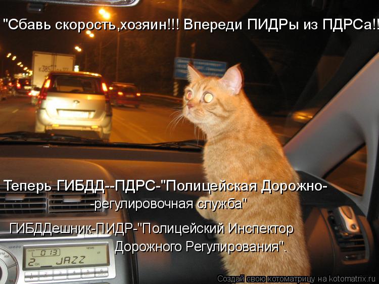 -регулировочная служба" ГИБДДешник-ПИДР-"Полицейский Инспектор Дорожного Регулирования". "Сбавь ско... Котоматрица: -регулировочная служба" ГИБДДешник-ПИДР-"Полицейский Инспектор Дорожного Регулирования". "Сбавь скорость,хозяин!!! Впереди ПИДРы из ПДРСа!!