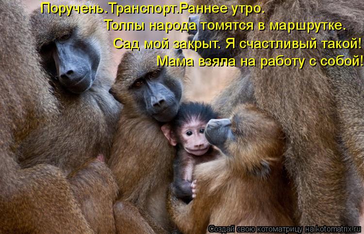Котоматрица: Поручень.Транспорт.Раннее утро. Мама взяла на работу с собой! Толпы народа томятся в маршрутке. Сад мой закрыт. Я счастливый такой!