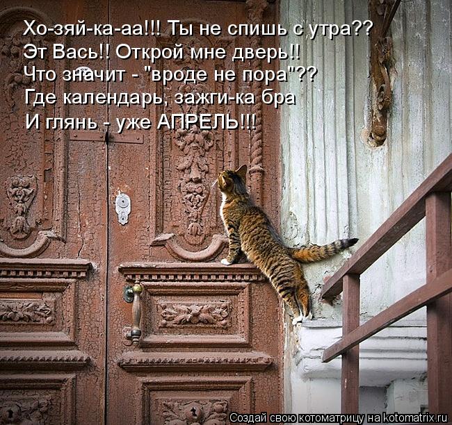 Котоматрица: Хо-зяй-ка-аа!!! Ты не спишь с утра?? Эт Вась!! Открой мне дверь!! Что значит - "вроде не пора"?? Где календарь, зажги-ка бра  И глянь - уже АПРЕЛЬ!!!