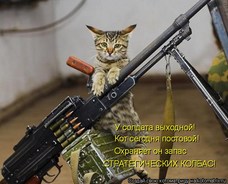 Котоматрица: У солдата выходной! Кот сегодня постовой! Охраняет он запас СТРАТЕГИЧЕСКИХ КОЛБАС!