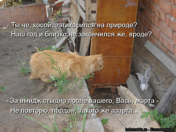 Котоматрица: - Ты че, косой, затихарился на природе? Наш год и близко не закончился же, вроде? Не повторю, пардон, такого же азарта... - За имидж стыдно после 